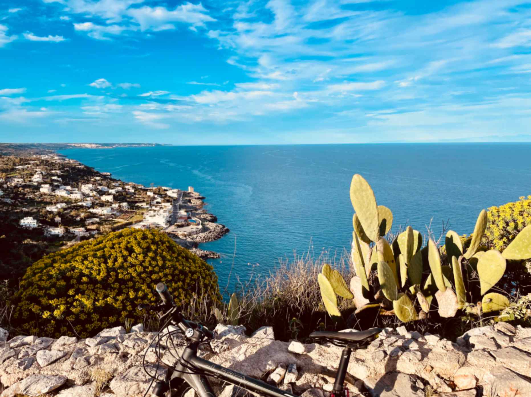 Mosaik in Otranto